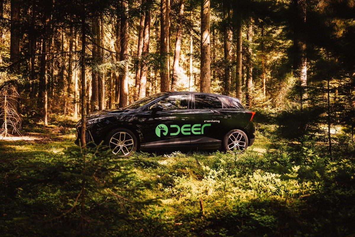 A deer e-carsharing electric car parked in a forest
